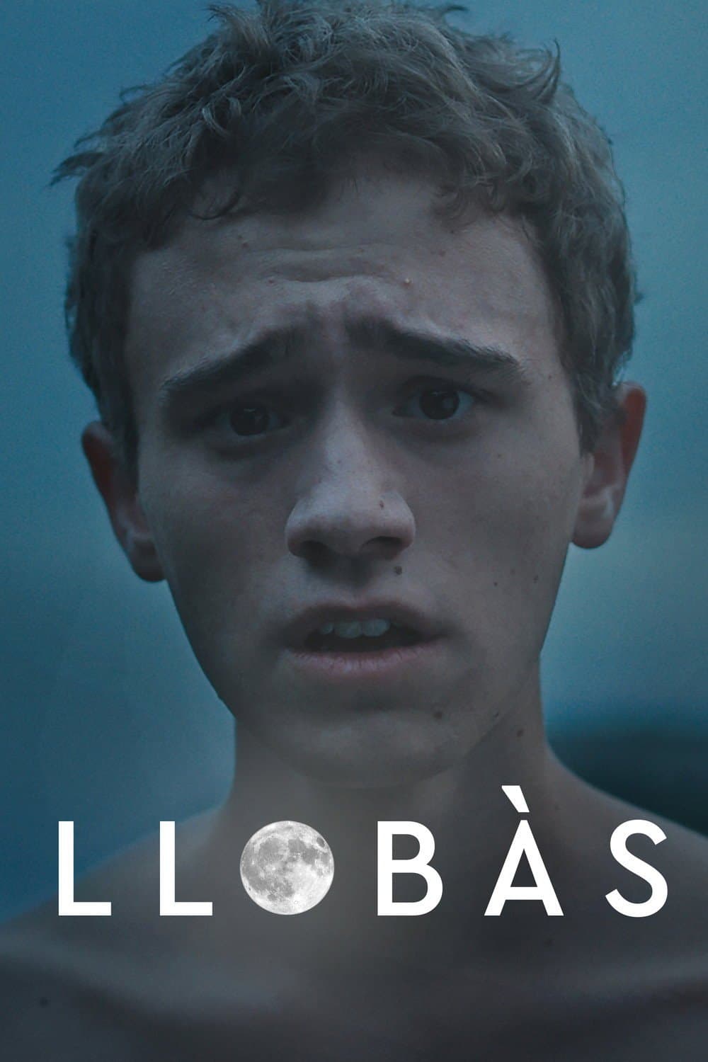 Cartell oficial de Llobàs