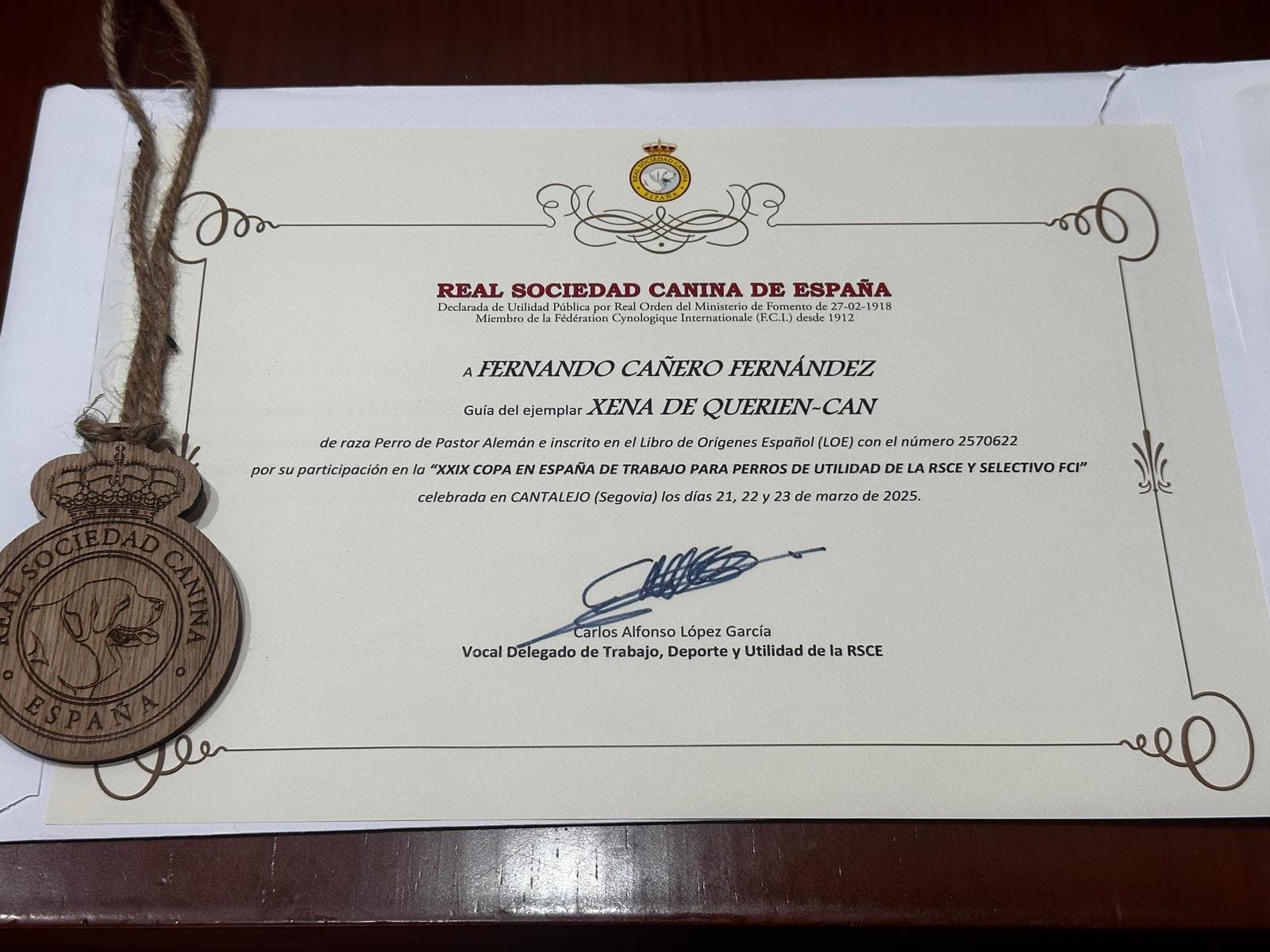 Diploma de la Real Sociedad Canina de España a Fernando Cañero Fernández como guía de Xena de Querien-Can en la XXIX Copa de España