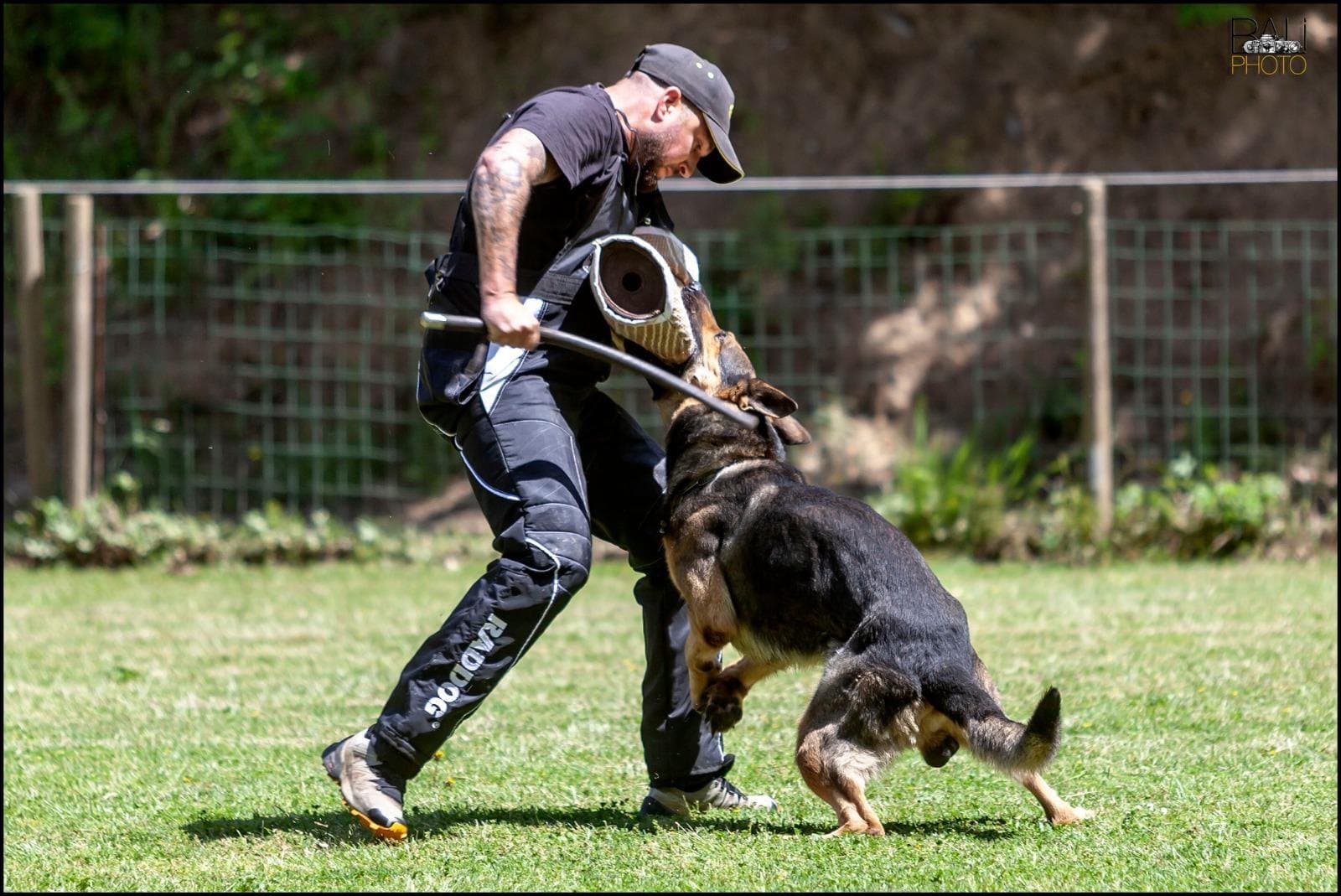 Trabajo de presa con manga de yute en un entreno de protección IGP