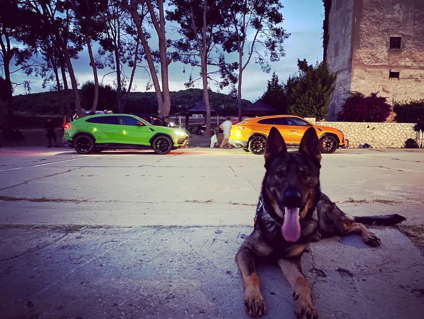 Danko estirat davant de dos Lamborghini Urus durant el rodatge d'un anunci