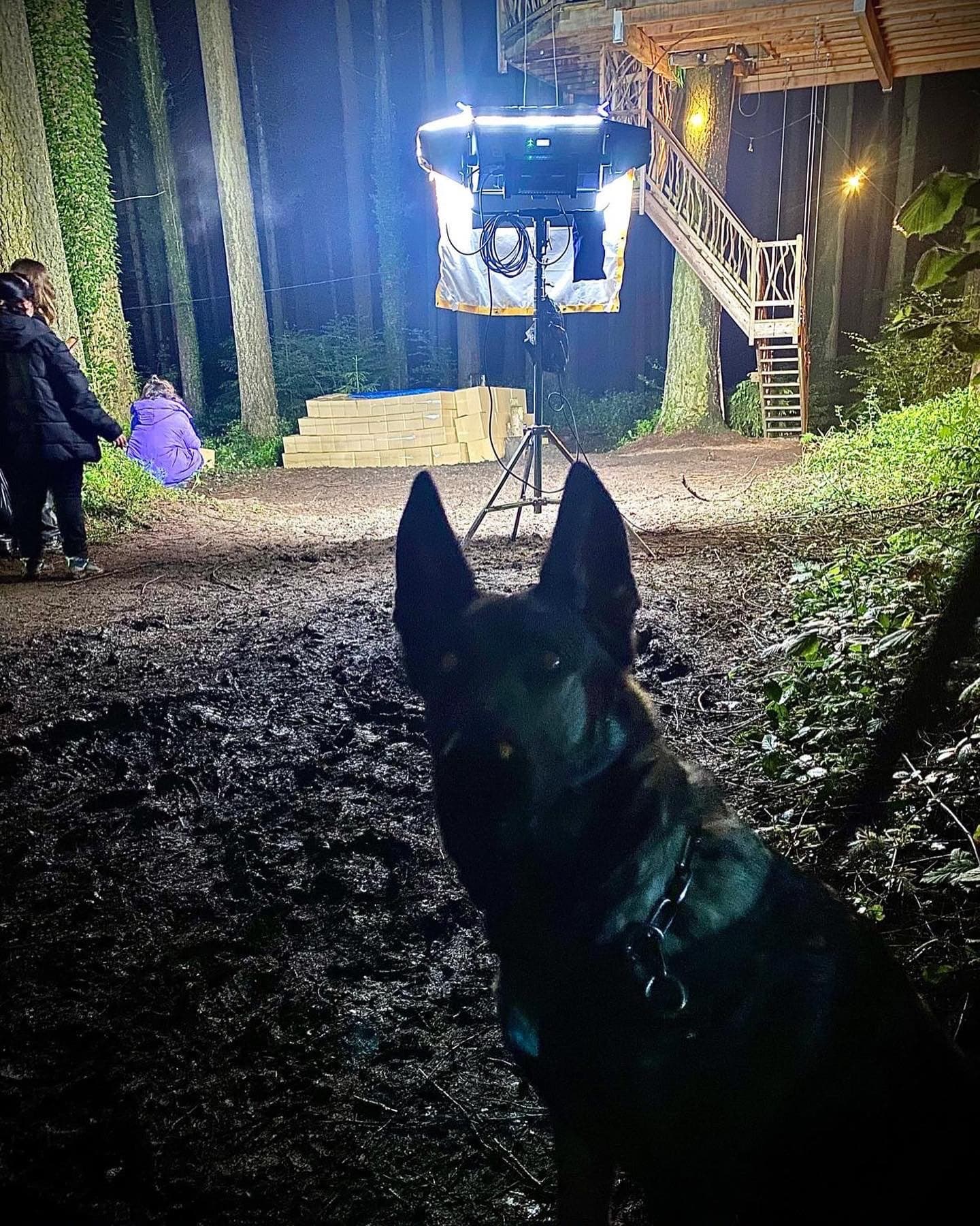 Silueta de Xena mirant la casa a l'arbre il·luminada en el rodatge nocturn de La casa en el árbol