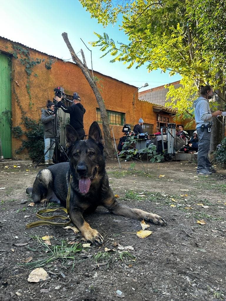 Danko descansant al set de rodatge de la pel·lícula Los destellos