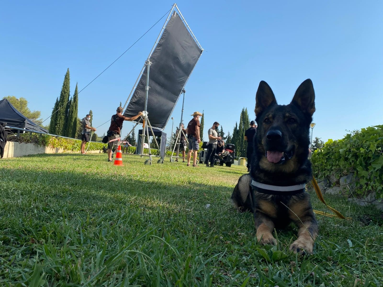 Danko estirat a la gespa durant el rodatge del videoclip del joc Free Fire