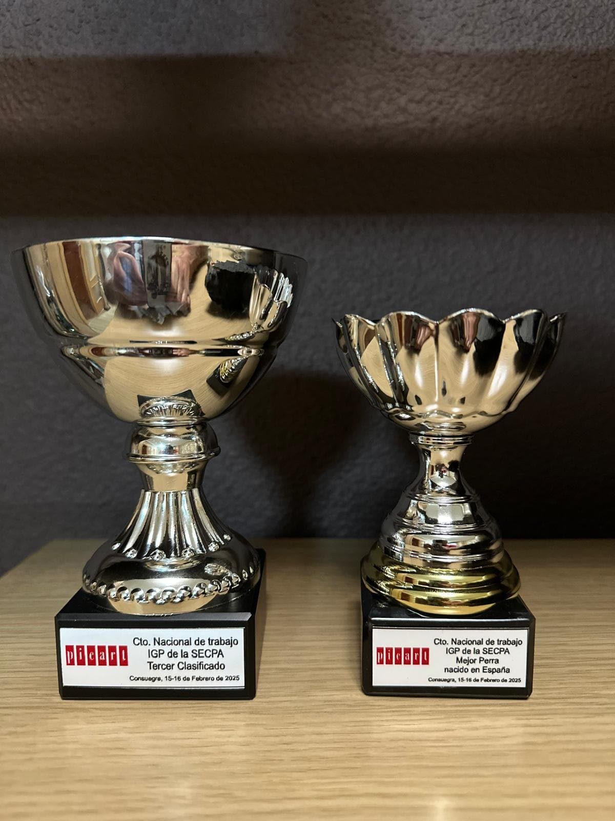 Trofeos de tercer clasificado y mejor perra nacida en España del Campeonato Nacional de trabajo IGP de la SECPA 2025